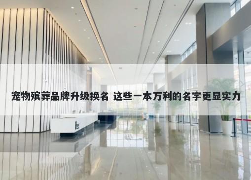 宠物殡葬品牌升级换名 这些一本万利的名字更显实力