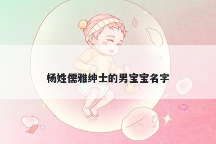 杨姓儒雅绅士的男宝宝名字