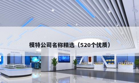 模特公司名称精选（520个优质）