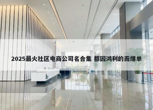 2025最火社区电商公司名合集 都因鸿利的而爆单