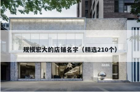 规模宏大的店铺名字（精选210个）