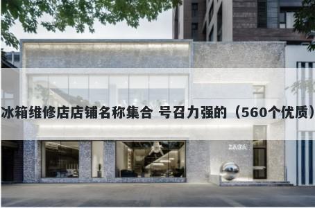 冰箱维修店店铺名称集合 号召力强的（560个优质）