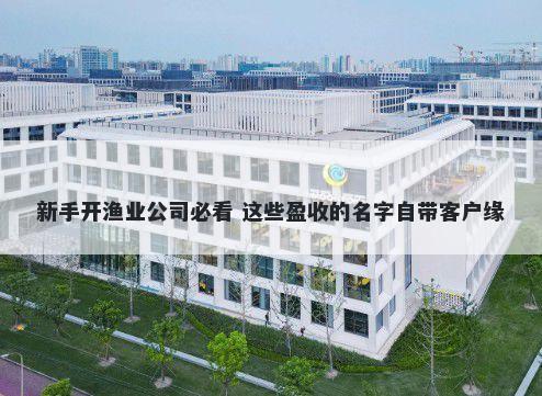 新手开渔业公司必看 这些盈收的名字自带客户缘