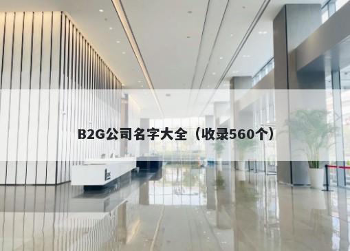 B2G公司名字大全（收录560个）