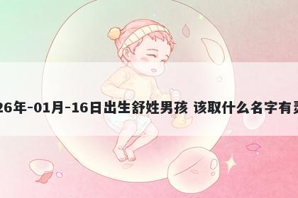 2026年-01月-16日出生舒姓男孩 该取什么名字有灵气