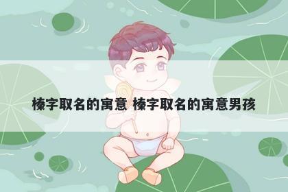 榛字取名的寓意 榛字取名的寓意男孩
