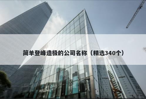 简单登峰造极的公司名称（精选340个）