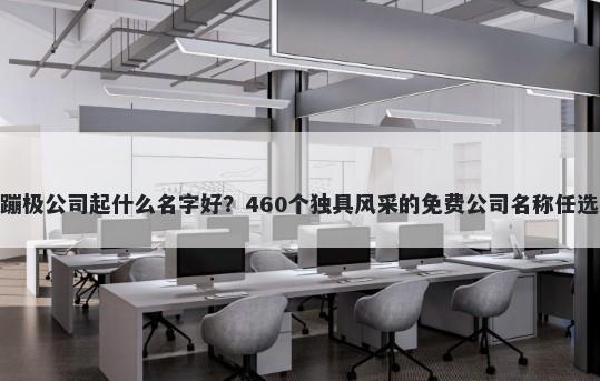 蹦极公司起什么名字好？460个独具风采的免费公司名称任选