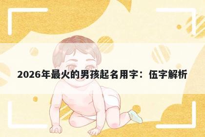 2026年最火的男孩起名用字：伍字解析