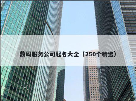 数码服务公司起名大全（250个精选）