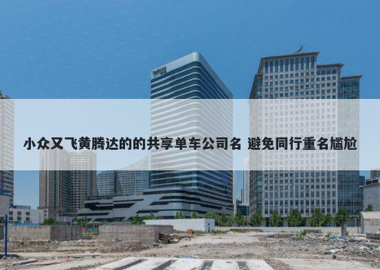 小众又飞黄腾达的的共享单车公司名 避免同行重名尴尬