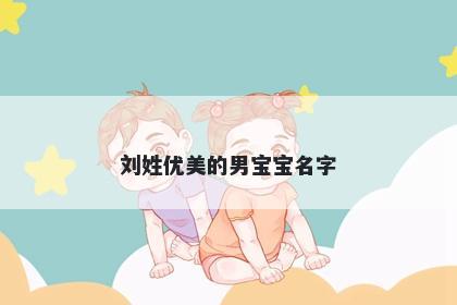 刘姓优美的男宝宝名字