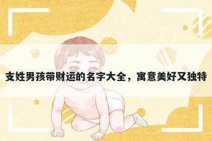 支姓男孩带财运的名字大全，寓意美好又独特