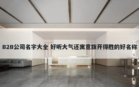 B2B公司名字大全 好听大气还寓意旗开得胜的好名称