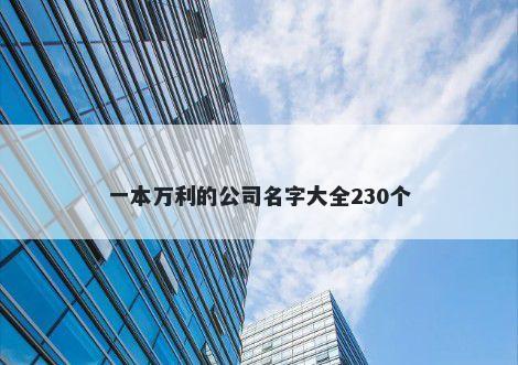 一本万利的公司名字大全230个