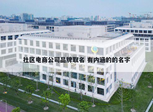 社区电商公司品牌取名 有内涵的的名字