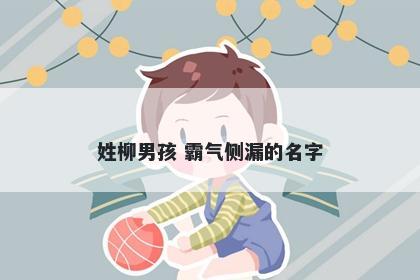 姓柳男孩 霸气侧漏的名字