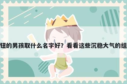 姓钮的男孩取什么名字好？看看这些沉稳大气的组合