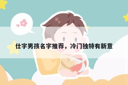 仕字男孩名字推荐，冷门独特有新意