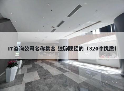 IT咨询公司名称集合 独辟蹊径的（320个优质）