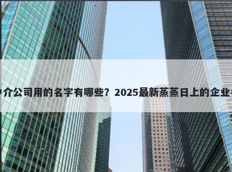 适合中介公司用的名字有哪些？2025最新蒸蒸日上的企业名解析