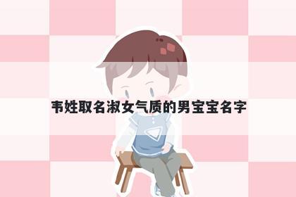 韦姓取名淑女气质的男宝宝名字