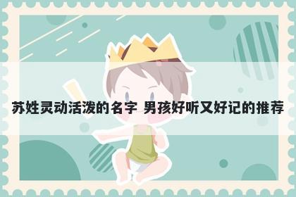 苏姓灵动活泼的名字 男孩好听又好记的推荐