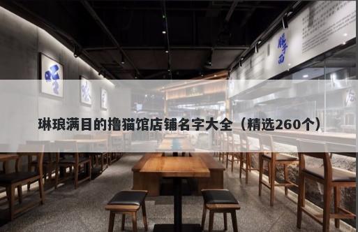 琳琅满目的撸猫馆店铺名字大全（精选260个）