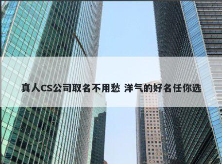 真人CS公司取名不用愁 洋气的好名任你选