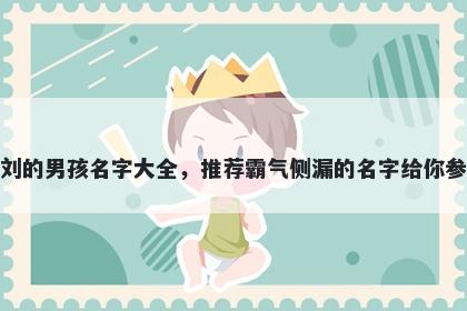 姓刘的男孩名字大全，推荐霸气侧漏的名字给你参考