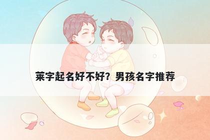 莱字起名好不好？男孩名字推荐