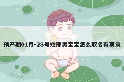 预产期01月-28号姓邢男宝宝怎么取名有寓意