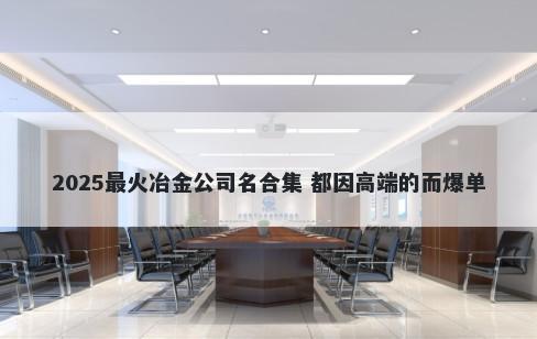 2025最火冶金公司名合集 都因高端的而爆单