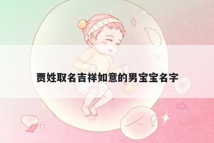 贾姓取名吉祥如意的男宝宝名字