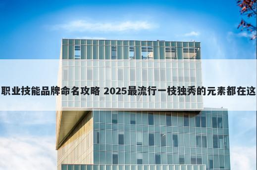 职业技能品牌命名攻略 2025最流行一枝独秀的元素都在这