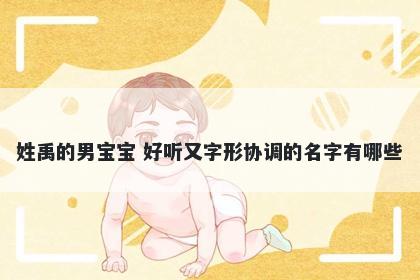 姓禹的男宝宝 好听又字形协调的名字有哪些