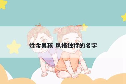 姓金男孩 风格独特的名字