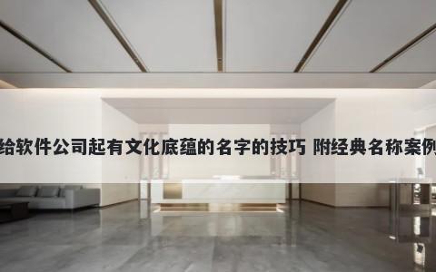 给软件公司起有文化底蕴的名字的技巧 附经典名称案例