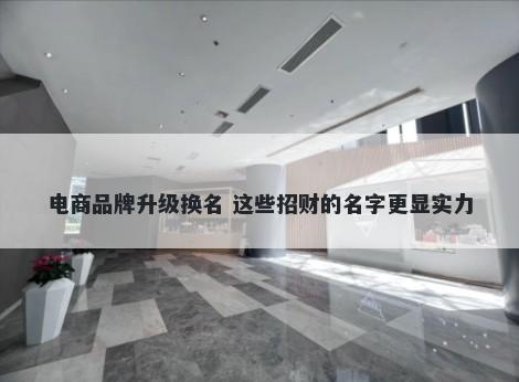 电商品牌升级换名 这些招财的名字更显实力