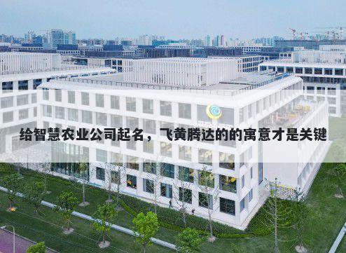 给智慧农业公司起名，飞黄腾达的的寓意才是关键