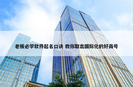 老板必学软件起名口诀 教你取出国际化的好商号