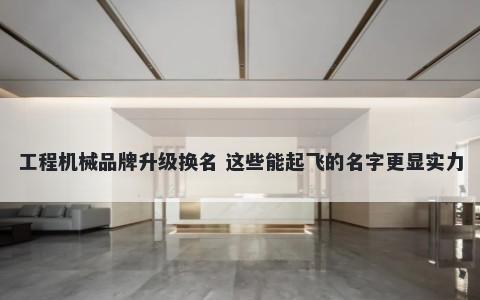 工程机械品牌升级换名 这些能起飞的名字更显实力