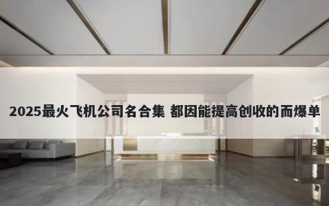 2025最火飞机公司名合集 都因能提高创收的而爆单