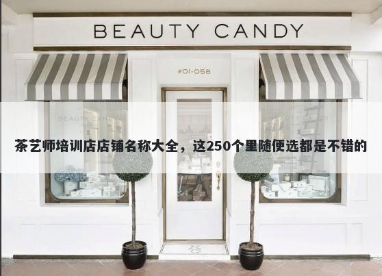 茶艺师培训店店铺名称大全，这250个里随便选都是不错的