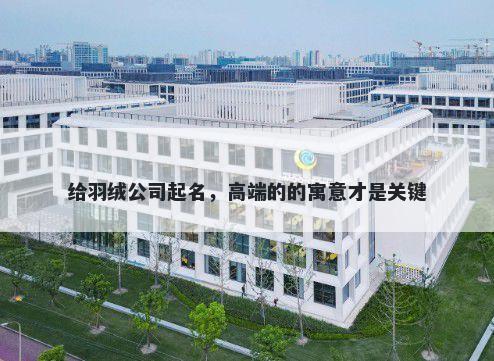 给羽绒公司起名，高端的的寓意才是关键