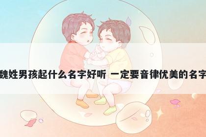 魏姓男孩起什么名字好听 一定要音律优美的名字