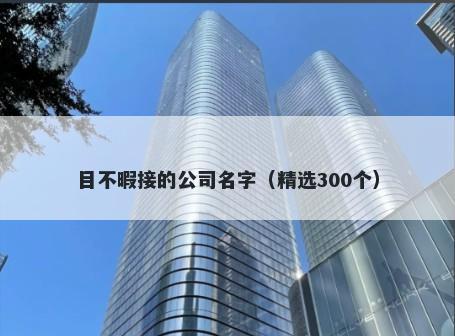 目不暇接的公司名字（精选300个）