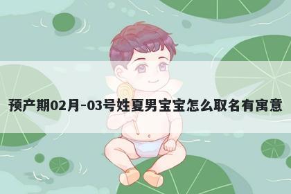 预产期02月-03号姓夏男宝宝怎么取名有寓意