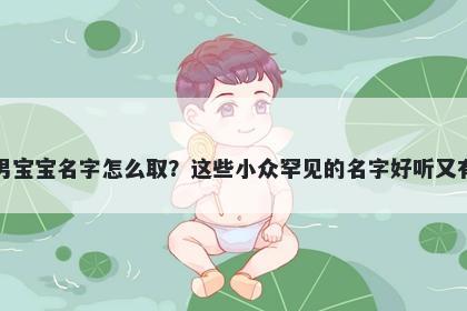 雷姓男宝宝名字怎么取?这些小众罕见的名字好听又有内涵