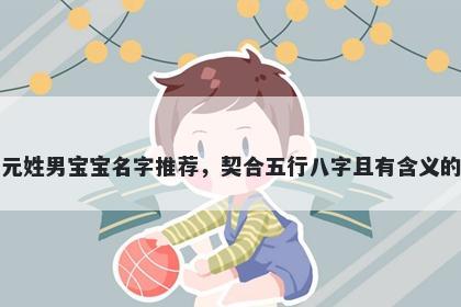 元姓男宝宝名字推荐，契合五行八字且有含义的
